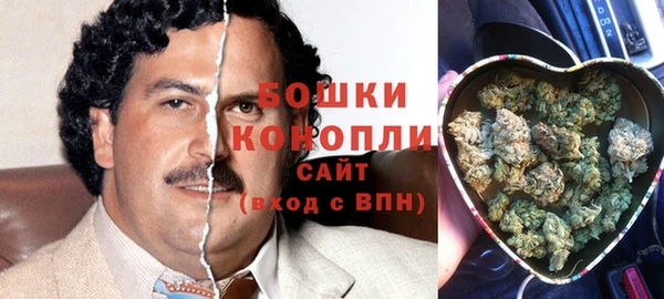 гидропоника Белоозёрский